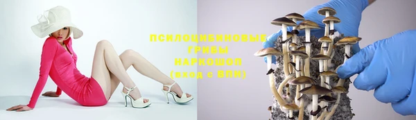 амф Баксан