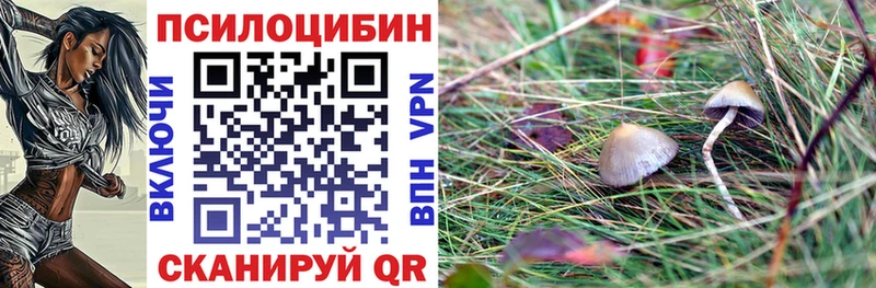 кракен зеркало  Лагань  Галлюциногенные грибы прущие грибы 